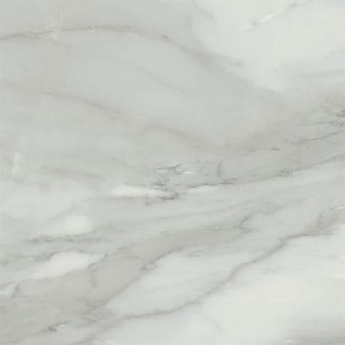 Grigio Polished - 12X24