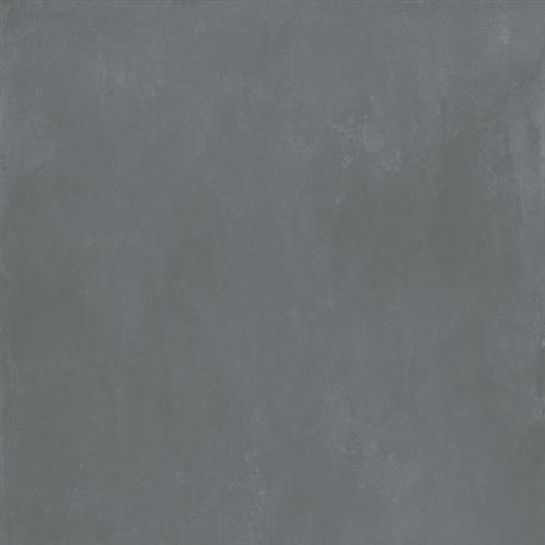 Dg - 24X48